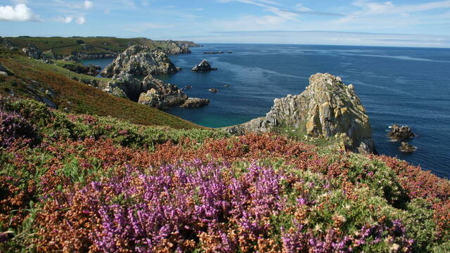 Reserve du Cap-Sizun