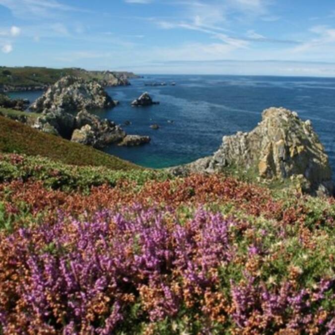 Réserve de Goulien - Crédit photo Office de tourisme Cap-Sizun - Pointe du Raz