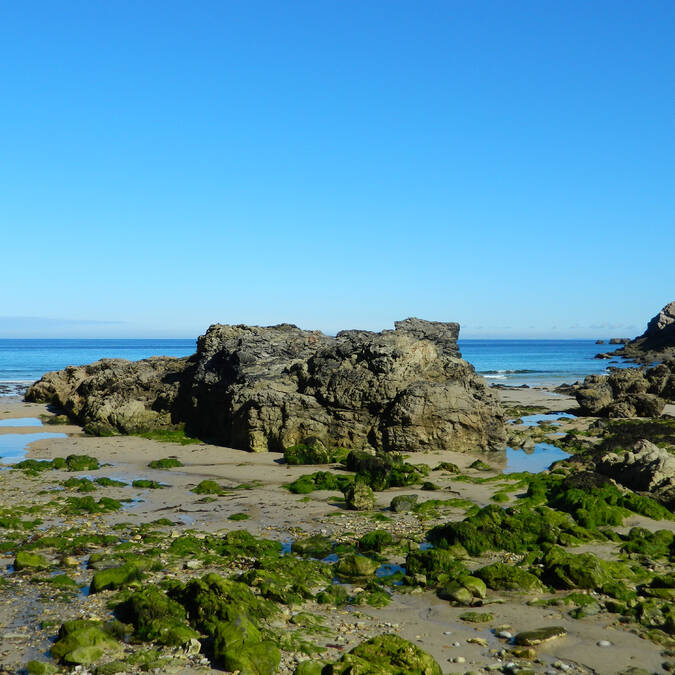 Pors Théolen © Ronan Belbeoch - Office de tourisme Cap-Sizun – Pointe du Raz