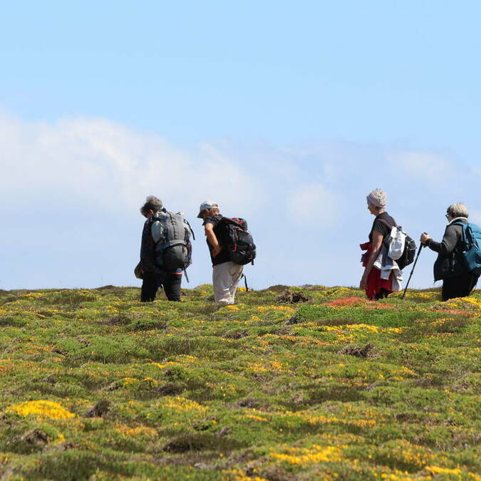  Randonnée pédestre à la Pointe du Van Cléden Cap-Sizun© Dimitri Poixe